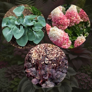 Samtainā ēna